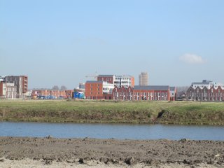 Woningen Harnaschpolder