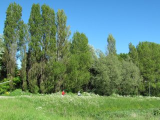 Noordhoornseweg