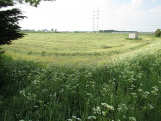 Woudsepolder Weteringzone west