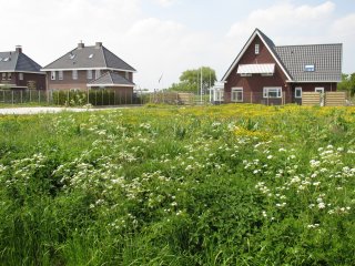 Wonen in het groen