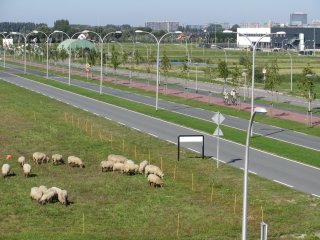 Bedrijventerrein Harnaschpolder