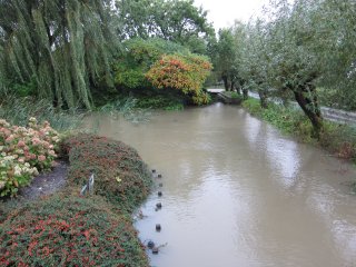 Harnaschpolder hoogwater door capaciteitsprobleem bemaling en waterberging