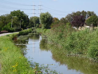 Harnaschwetering