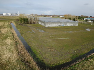 Tuincentrum Marrewijk