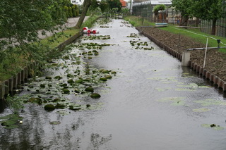 Lookwatering