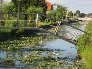 Lookwatering