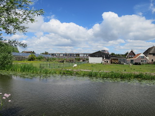 Dijkshoornseweg Lookwatering