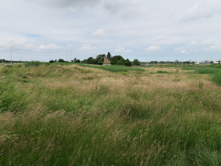 Harnaschpolder Weteringzone Harnaskade