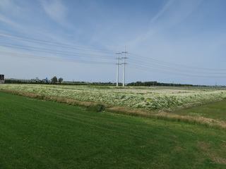 Harnaschpolder Woud-Harnasch