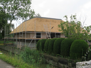 Harnaschpolder bijgebouw met riet