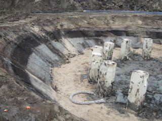 Woudsepoldergrond zeeschelpen veen klei