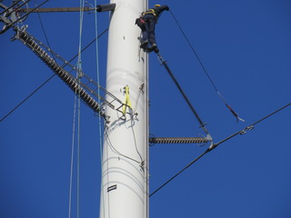Werpaarde